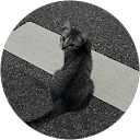 Natalie profile picture